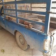 وانت نیسان 82 کامیونت ون تناژ 3800