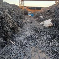 خریدار نوار تیف