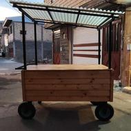 گاری نوی نو