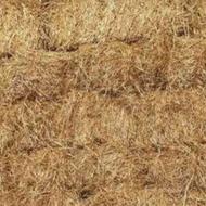 کاه تابستان خورد شده و دسته داشلی‌برون