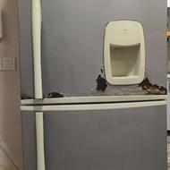 یخچال فریزر مارک سوزان