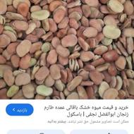 فروش عمده باقالا مرغوب مازندران