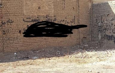 زمین های بسیار عالی برای آینده درخشان