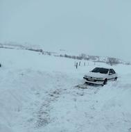 پژو پارس تیوفایو 402دریچه سیم زیمینس