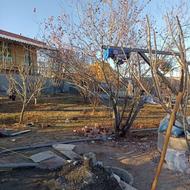 پایه متحرکه