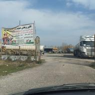 ماهی قرمز عید نوروز وتنگ ماهی قرمز