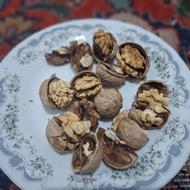 گردوی تازه مراغه