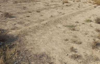 پایین ترین قیمت منطقه به دلیل نیاز به نقدینی