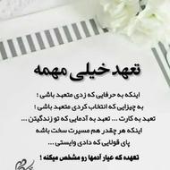 جذب شخص پرتلاش، با نفوذ و با ایده های خوب وکار بلد و باصداقت