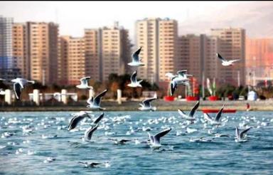 پیش‌فروش آپارتمان 180 متر در شهرک گلستان