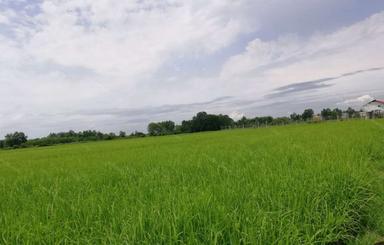 2000 متر زمین واقع در روستای قراخیل