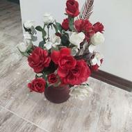 گل رز سفید و سرخ خارجی