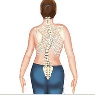 مرکز تخصصی درمان اسکلتی