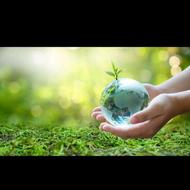 ترک و پاکسازی