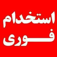 استخدام نیرو