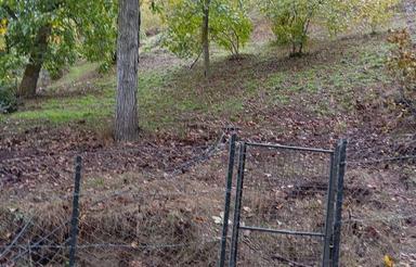 باغ فندق اشکورات