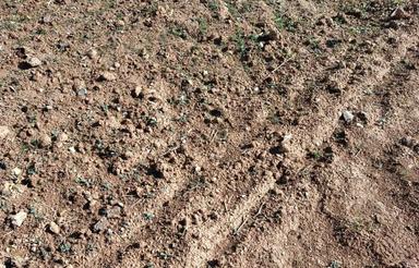 زمینبرایخانهباغدوقطعههرکدامدوهزارمتر