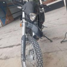 پیشرو گلد 250 سالم