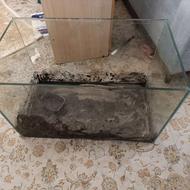 اکواریوم تانک 80 سانت پلنت فروش یا معاوضه