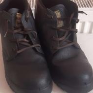 کفش ایمنی درحد نو