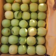 سیب سفید سرد خانه