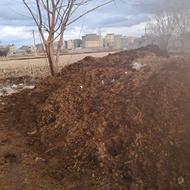 کود حیوانی اسب و گوسفند