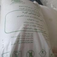 فروش 10 کیسه کود سفید