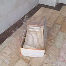 دو عدد قفس بزرگ و سالم و تمیز با کلیه لوازم جانبی