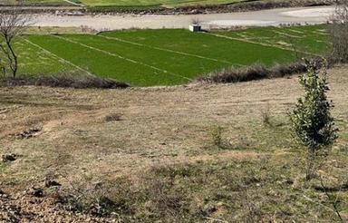 فروش زمین مسکونی 2600 متر در کلیجانرستاق ویو ابدی