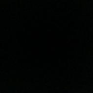 لوبیا قرمز بوجاری شده