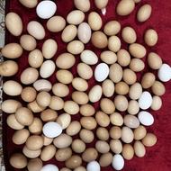 100 عدد تخم مرغ محلی