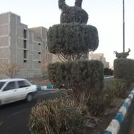 باغبان ونظاف