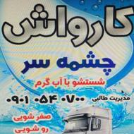 کارگر ماهر کارواش