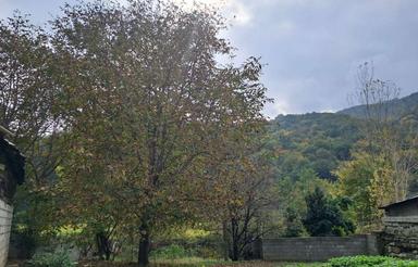 فروش ویلا 720 متر در مرکز شهر