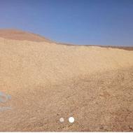 کاه گندم دیمی