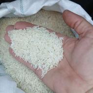 برنج فجر شمال 60 روزه کشت دوم