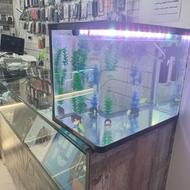 آکواریوم گوگولی خوشگل با لوازم