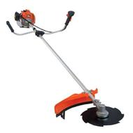 چمن زنی روزانه و ساعتی