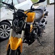 بنلی 300 طلایی401