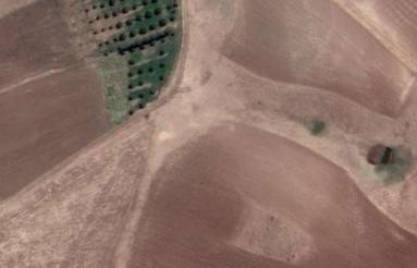 5 هکتار زمین و باغ انگور