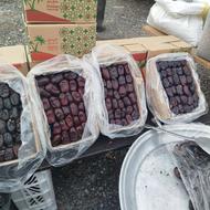 خرمای مضافتی