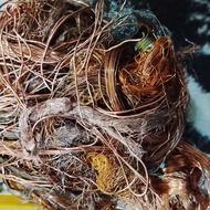 مس فروشی هستش