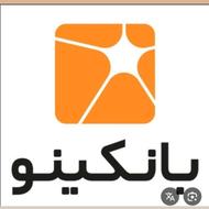 پول نقد 120000تومان بانکینو