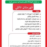 استخدام در فروشگاه زنجیره ای دیلی مارکت