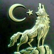 کارگر ساده هستم همه کار بلدم