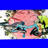 دوچرخه سایز 16 رنگ آبی پسرانه درحدنو کم استفاده شده