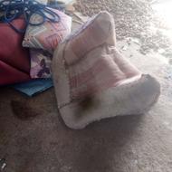 پالن باری سواری