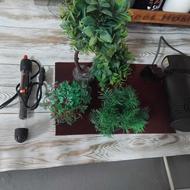 لوازم آکواریوم