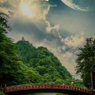 سرمایه گذار برای احداث رستوران