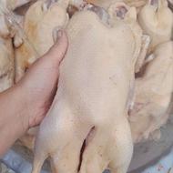 اردک محلی، مرغ و خروس و خارجی و کره و..